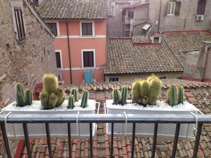 Appartement Campo Dei Fiori Funny Flat à Rome Extérieur photo